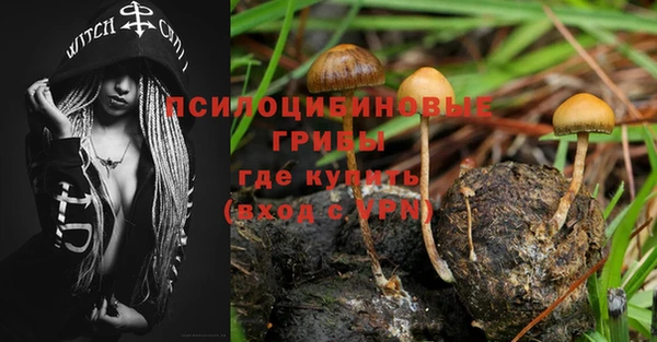 спайс Армянск